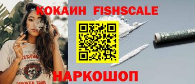индика Можга