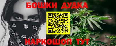 индика Можга
