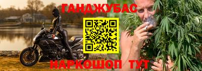 индика Можга