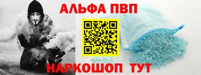 индика Можга