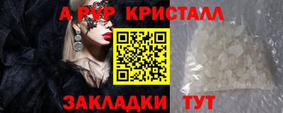 индика Можга