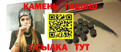 индика Можга