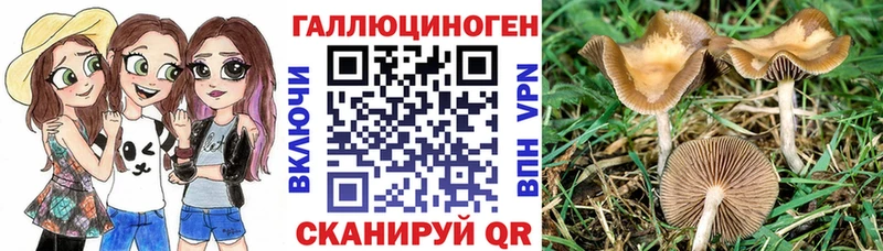 Псилоцибиновые грибы MAGIC MUSHROOMS  хочу наркоту  Тулун 