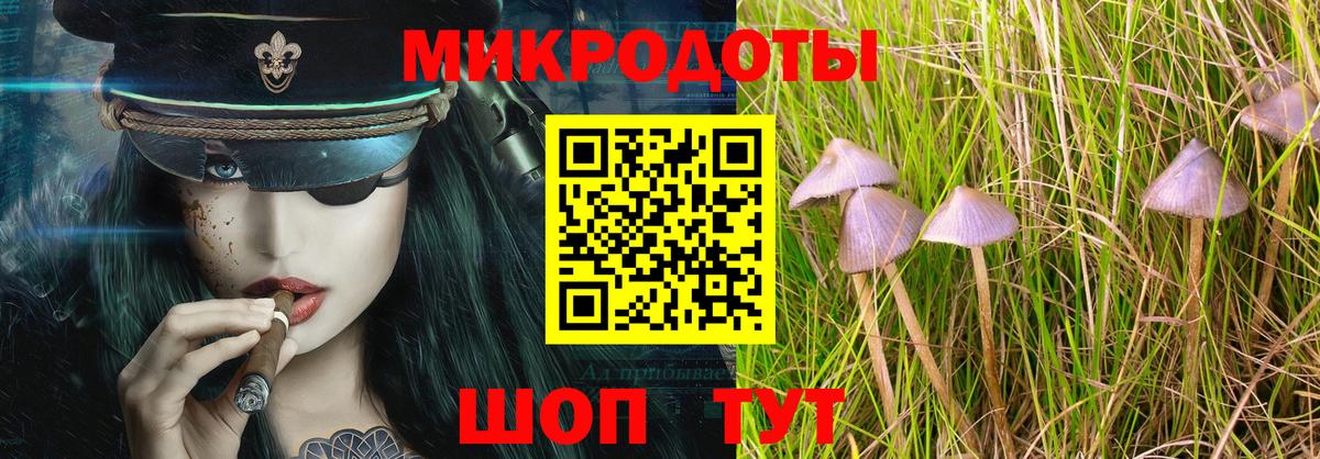 Тулун  Галлюциногенные грибы GOLDEN TEACHER  Вход с VPN 